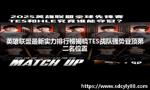 IM电竞-电子竞技平台